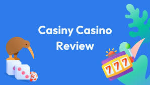 Experience the Thrill of Gaming at Casiny Casino 9